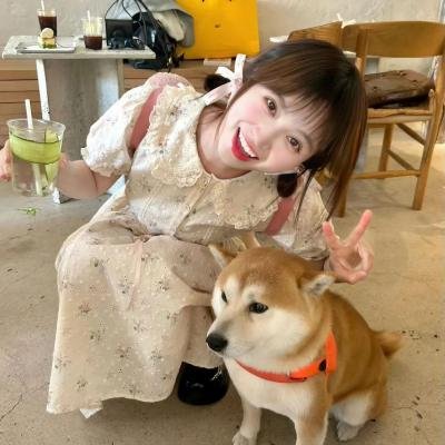 北平无战事